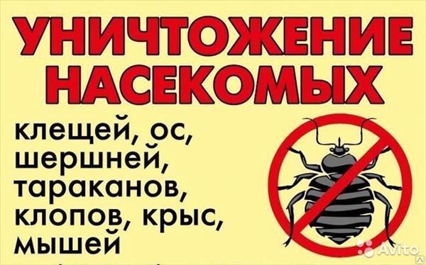 уничтожить убить вывести травить клопы НЕТ блохи м